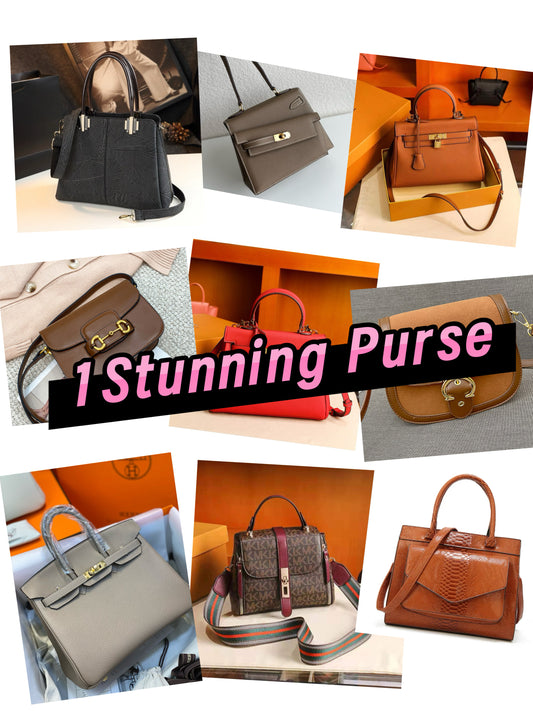 1 Luxury pre-owned Purse (3-5 days arrival)
